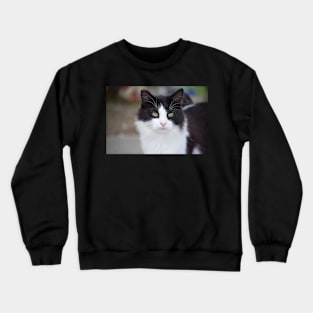 black and white cat Crewneck Sweatshirt